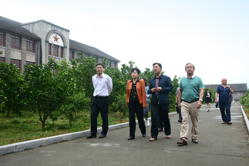 1525773356439038957.jpg DSC_0734.jpg