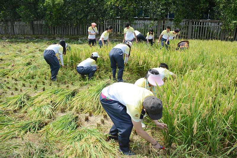 1533956938584064554.jpg DSC_0901.jpg