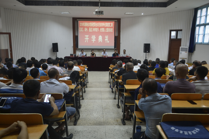 1534072516255080428.jpg 1.jpg