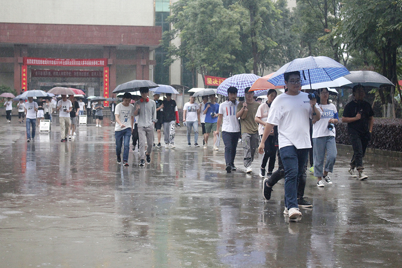 1560936037672052641.jpg 1.jpg