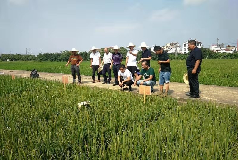 1568277412507045826.jpg 1.jpg