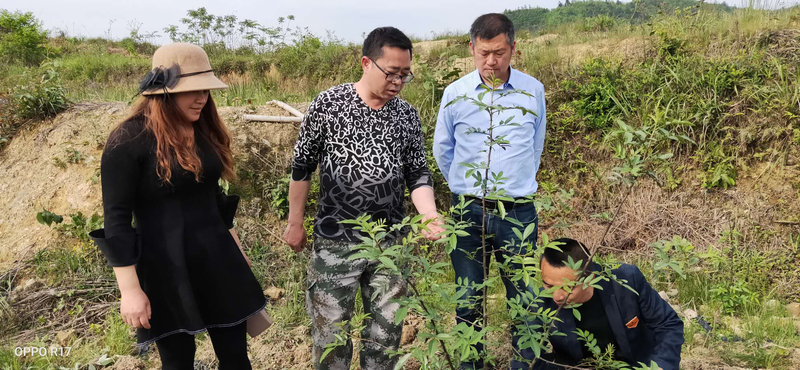 1587960688546026418.jpg 1.jpg