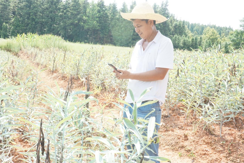 1626745820683008071.jpg 图片2.jpg