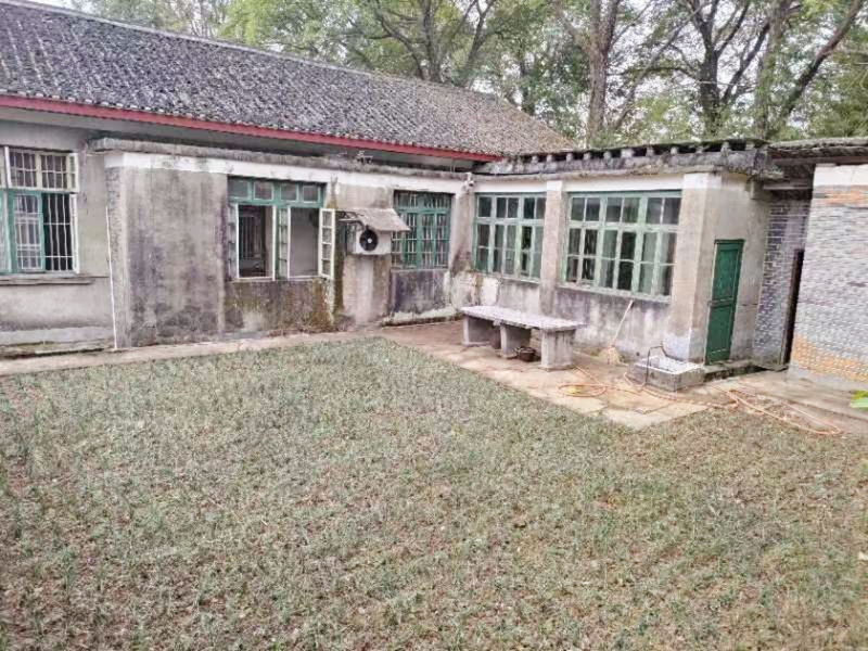 1668737677404041106.jpg af31a31b51e3faae9d17fa50740c7e1.jpg