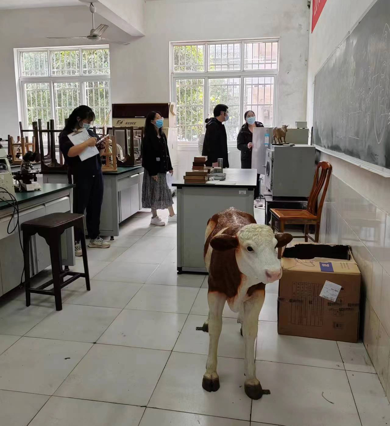 1669819048341016186.jpg 40cd273d6caf0ab09c74303e925d467.jpg