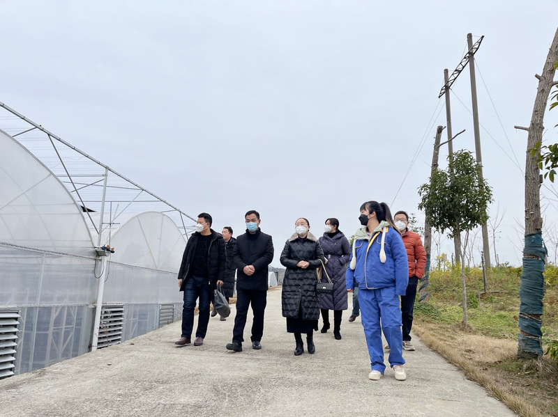 1674115365054022157.jpg 1.jpg