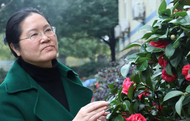 1678344773911011260.jpg 胡.jpg