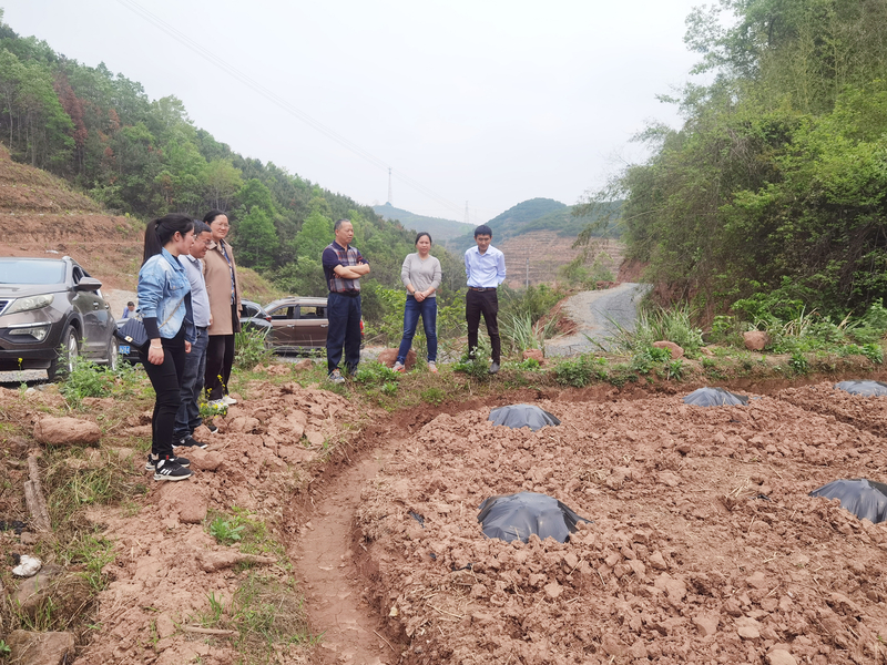 1681800438397025098.jpg 815395d47a1dbd84f80c871f6c3bf47.jpg