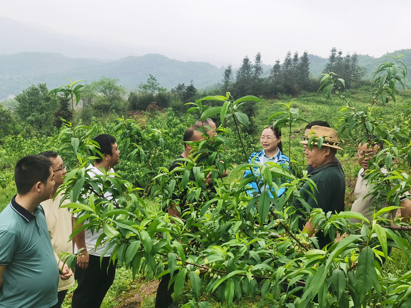 1682406319370081350.jpg 804d6877e6698d4ae7768f7c78db162.jpg