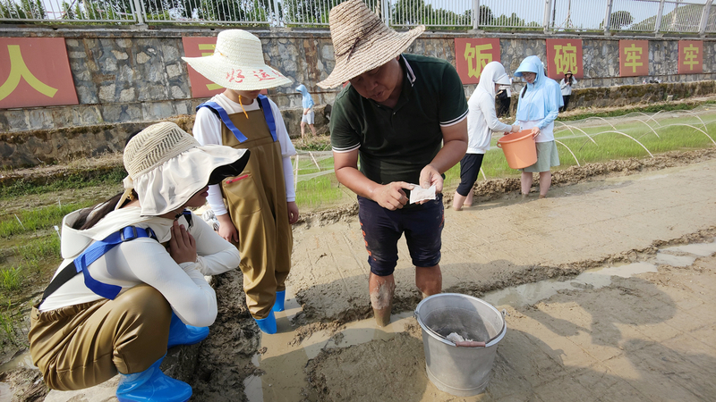 1686106431354077727.jpg 图片2.jpg