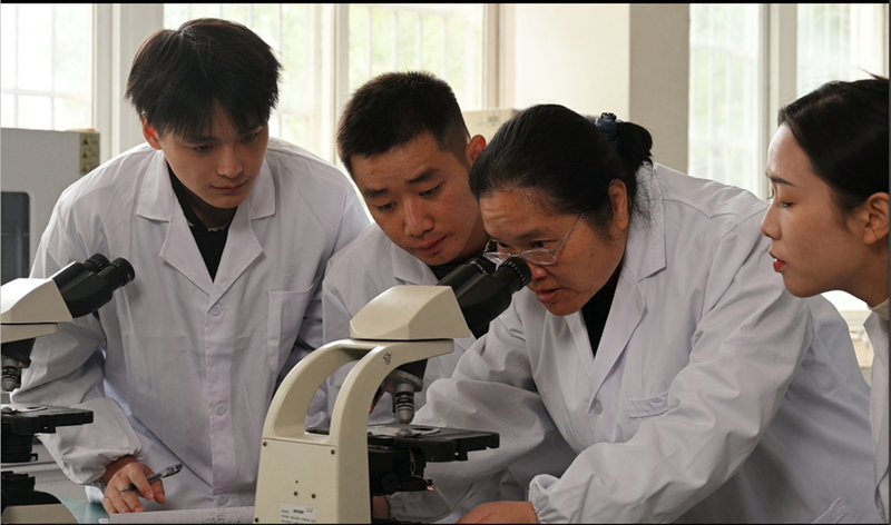 1709818221505067630.jpg 科研、教学.jpg