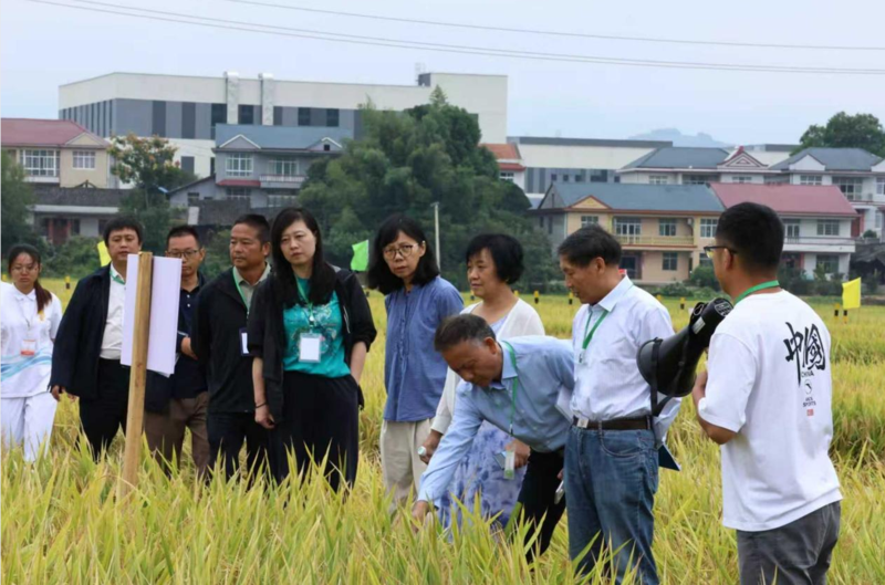 1762483617091065149.png 3.png